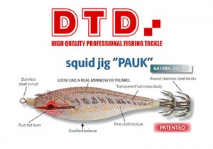 DTD-pauk-2