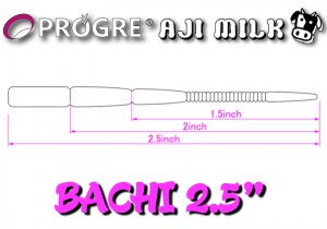 PROGRE-BACHI-2.5-DIMENTIONS