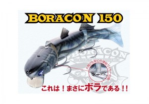 boracon150