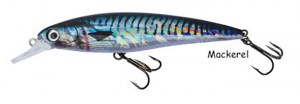 dtd-realistic-fish-mackerel
