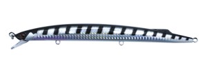 rizor-bigbarra-barracuda