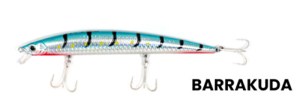 ryuji-bay-minnow-sinking-145cm-245gr-BARRAKUDA