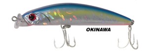 ryuji-king-mullet-floating-okinawa