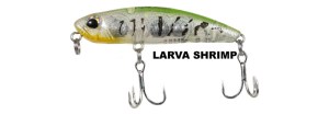 ryuji-tetis-48cm-larva-shrimp