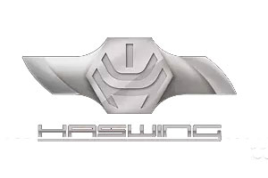 logo-haswing.jpg
