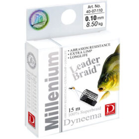 Dragon_Milenium__4a313681dcf33.jpg