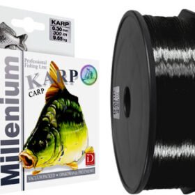Dragon_Millenium_4a365d45c5ced.jpg