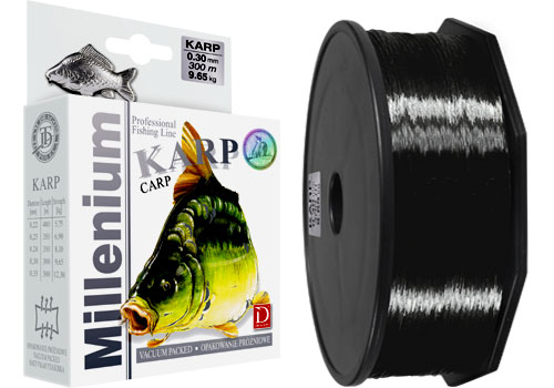 Dragon_Millenium_4a365d45c5ced.jpg