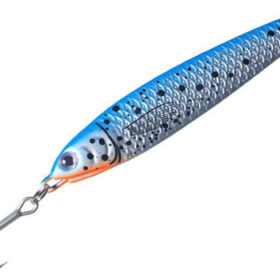 Dragon_Flat_Blue_4aaa2fc87430e.jpg