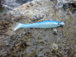 Dragon_V_Lures_L_4ae1e988eeb6e.jpg