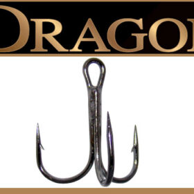 Dragon_5202_BLN__4b06aa5b5ad5c.jpg