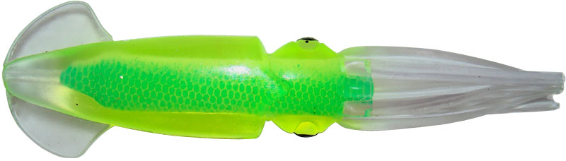 squid-10035_2.jpg