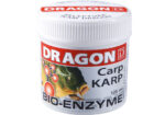 Dragon___________4be3e01a524a9.jpg