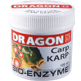 Dragon___________4be3e01a524a9.jpg