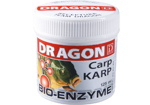 Dragon___________4be3e01a524a9.jpg