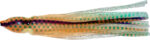 squid-20016_1.jpg
