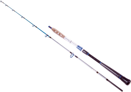 Remixon_Sea_Lion_4cdd510375b73.jpg