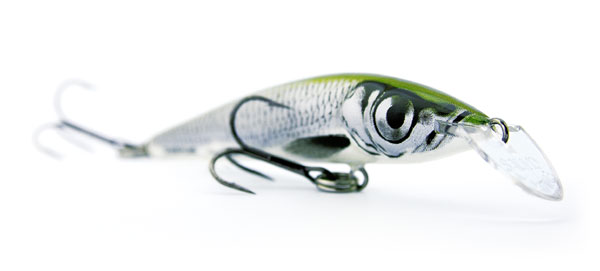 Salmo-sting
