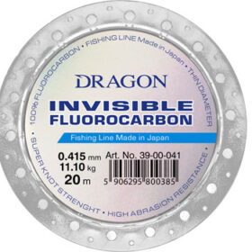 Dragon_INVISIBLE_4dc2cd4495b7f.jpg
