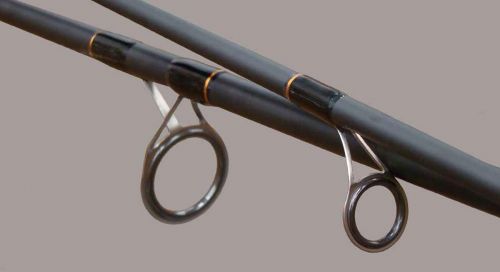 thumb_sks-carp_2