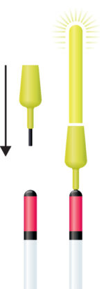 2011_1.jpg