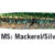 Butterfly 110gr-MS JBT110MS