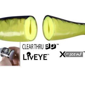 Dragon_V_Lures_C_4eeb633e1e208.jpg