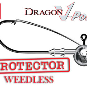 Dragon Jig Head Protector