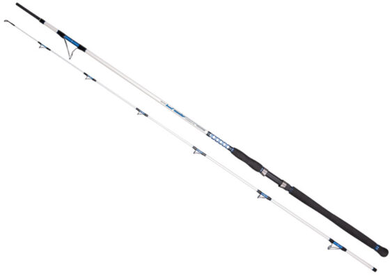 Dragon_Boat_Mast_53578a3932125.jpg