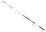 Dragon_Boat_Mast_53578d1c38633.jpg