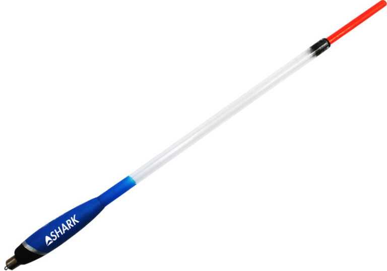 Shark____________534e2b27bb437.jpg