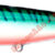 Bonita 14cm-W23 F51-W23