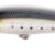 FS91 348 05.07.9148