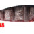Shogun 15cm-20-138 SH60S-20-138
