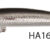 TargetM 90SU-HA16R 05.02.9016