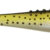 Lunatic 7.5cm BT LU30P-BT