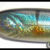 Bubble Pen-HB01 05.01.8000