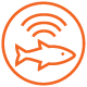 Deeper sonar fishfinder find fish