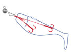 Αρματωσιά Dragon V-Lures Pike system