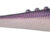 Lunatic 8.5cm 03-800 LN35D-03-800