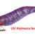 Egista Deep 3.0 KVPRE TS-E30D-832064