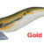 Egista RATTLE 3.0 GOA TS-E30R-831418
