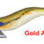 Egista SLOW 3.5 GOA TS-E35S-831111