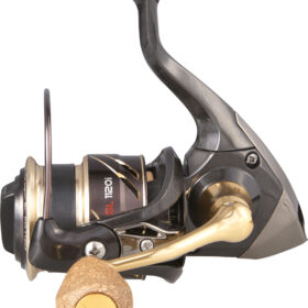 DRAGON Team SL1100i