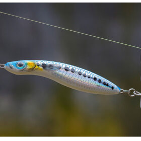 Salmo Wave 9cm