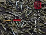 Little Jack Micro Adict Asymmetry - Image 4