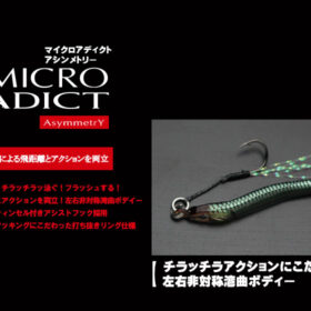 Little Jack Micro Adict Asymmetry