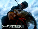 BlueBlue Non Stuck Jig SW Rubber 14g - Image 4