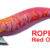 Egista RATTLE 3.0 ROPE TS-E30R-831487