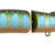 ANTIRA-104 ANT115F-104